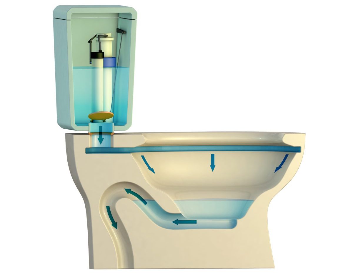A 3D-rendered cross-section diagram of a gravity-flush toilet demonstrating how water flows down the bowl and into the pipes below when flushed.