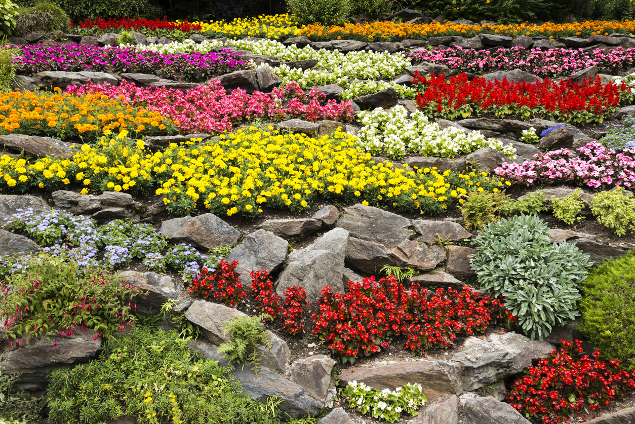 A rock garden filled with colorful flowers and plants.