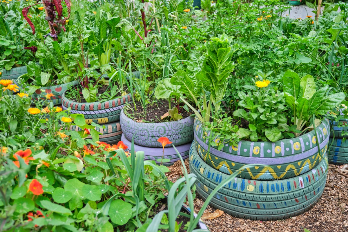 Tires-painted-in-multicolored-patterns-are-repurposed-as-planters.