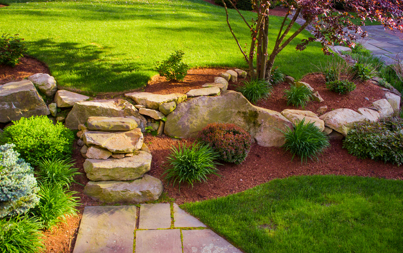 A manicured back yard with a rock wall, rock stairs, a tree, ornamental grass, and mulch.
