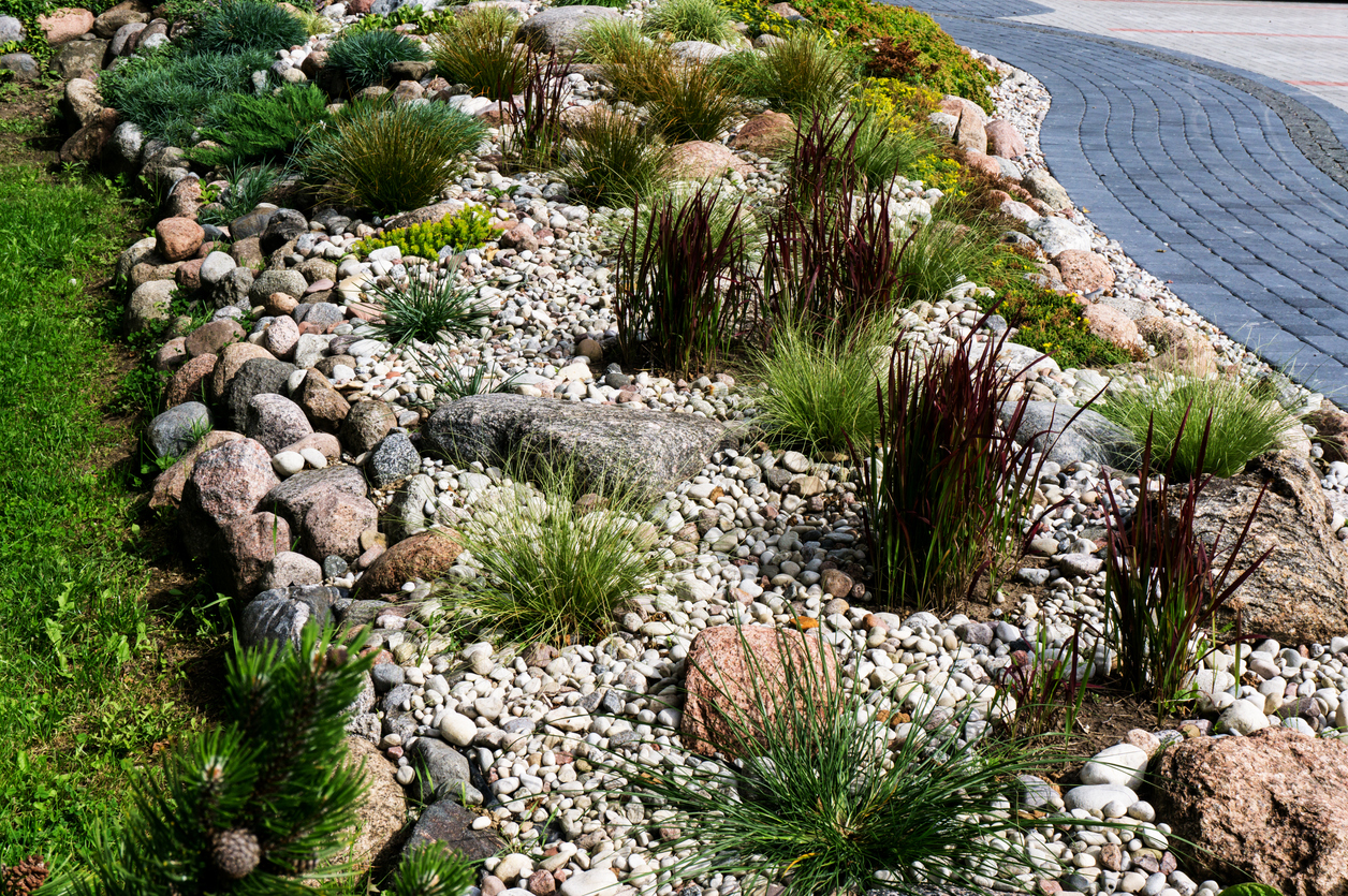 A rock garden in a front yard featuring a curving border with a paved walkway.