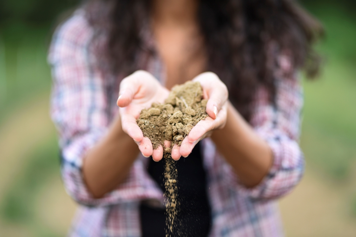 A person holding sandy loam soil in their hands, with some of it falling between their fingers.