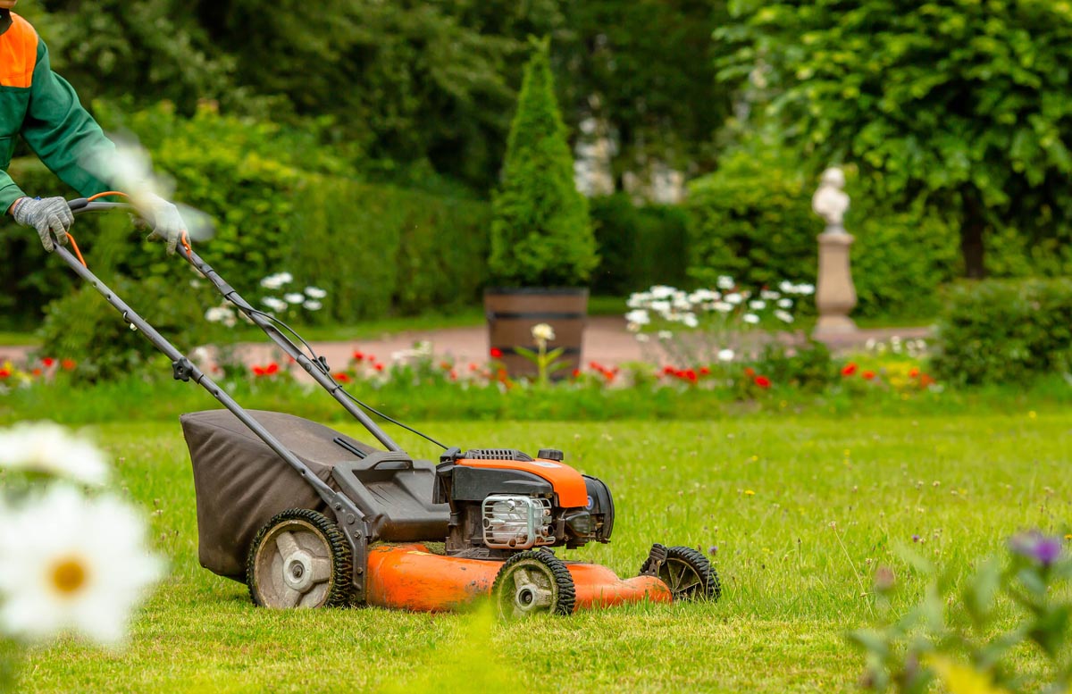 A close up of a lawn mower at work on a green lawn.