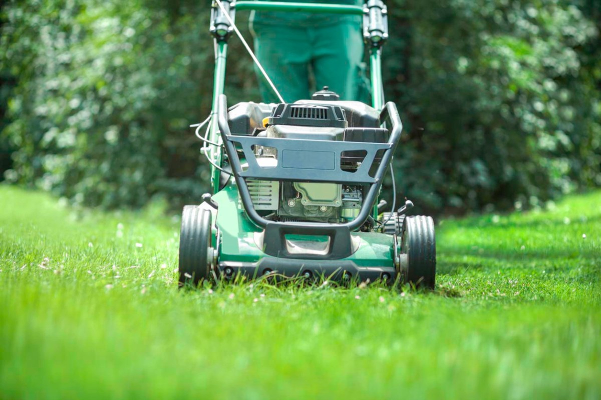 A close up of a green lawn mower. 