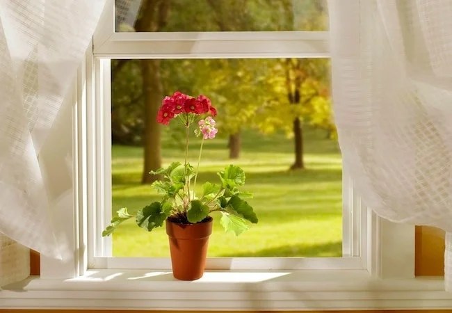 The Do’s and Don’ts of Window Fans