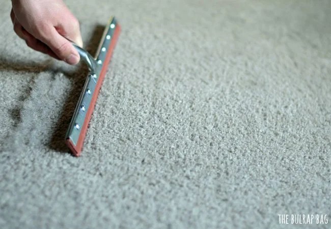 pet hair solutions - carpet