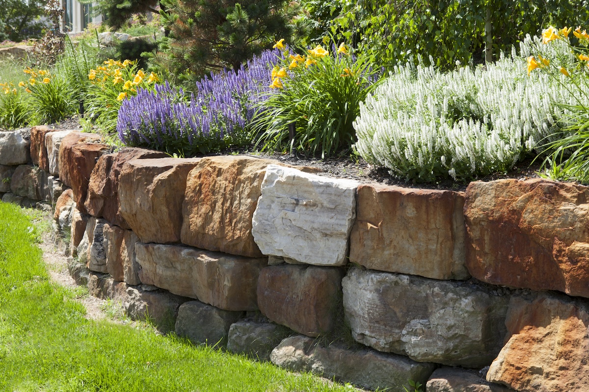 A natural stone retaining wall doubling as a garden bed for ornamental plants.