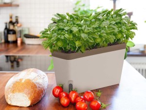 The Best Gifts for People Who Wish They Had a Green Thumb—But Don’t