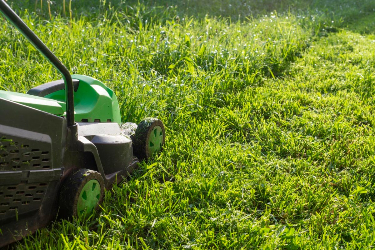 Greenworks vs. Ego: Which Battery Brand Has the Better Outdoor ...