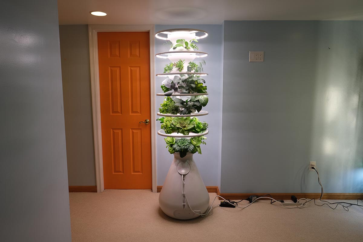 The Lettuce Grow Farmstand full of growing plants in a home during testing.