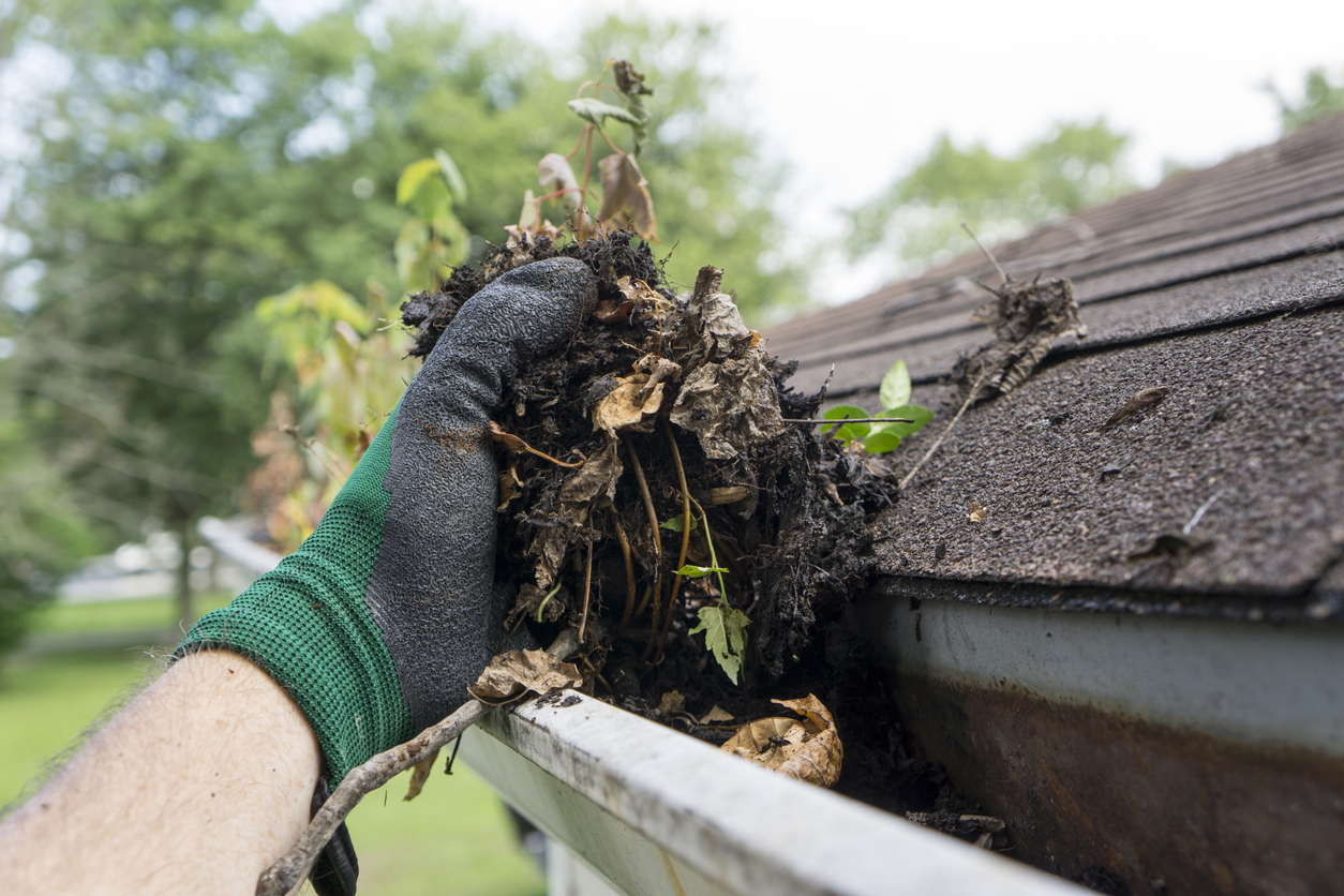 A homeowner wearing green-and-black neoprene gloves extracts dead leaves, mud, and other debris from their home's gutters.