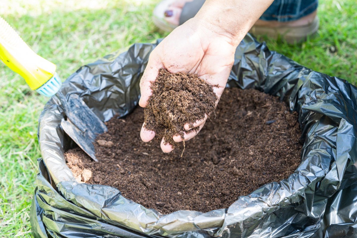 The Best Bagged Compost