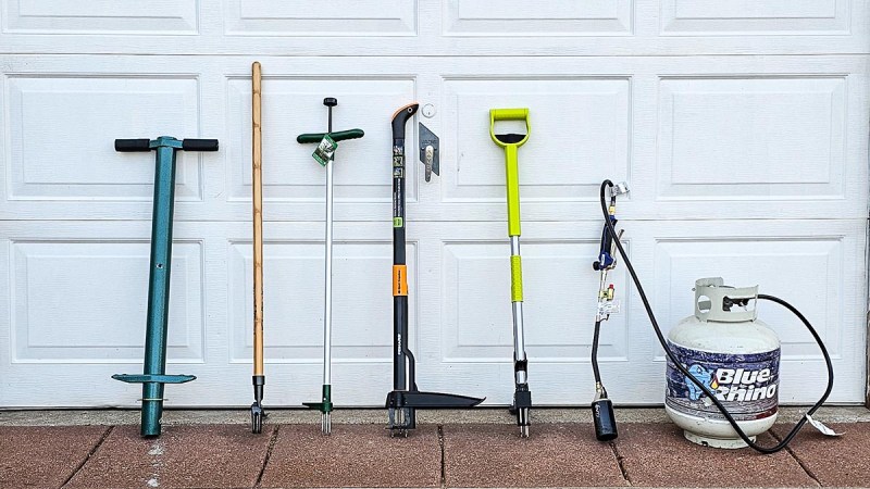 The Best Stand-Up Weeders for Easy, Effortless Weeding, Tested