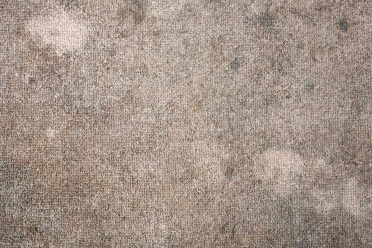 A dirty carpet with dark grey mold spots.