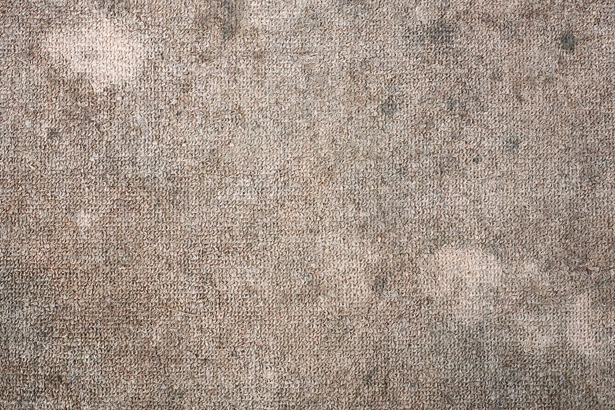 A dirty carpet with dark grey mold spots.
