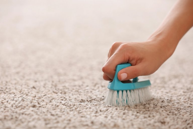 Close up of woman's hand holding a dry scrub brush to a fluffy carpet.