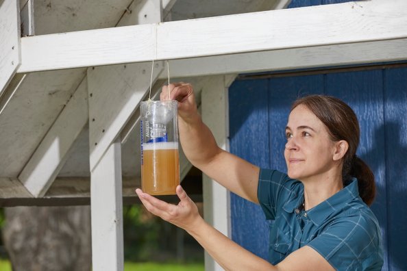 Woman hangs a homemade wasp trap filled with apple cider vinegar.