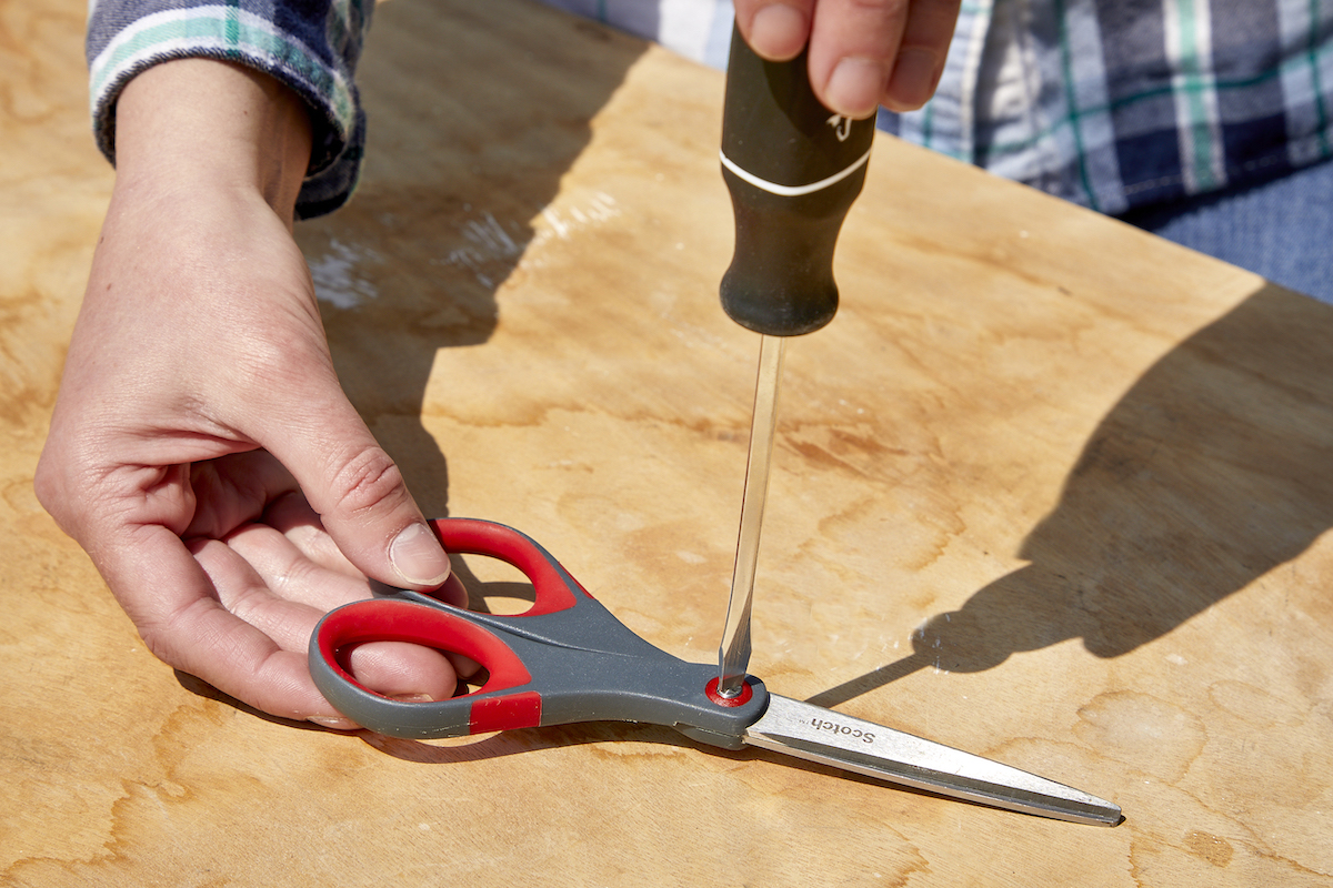 Woman uses screwdriver to take apart scissor blades.