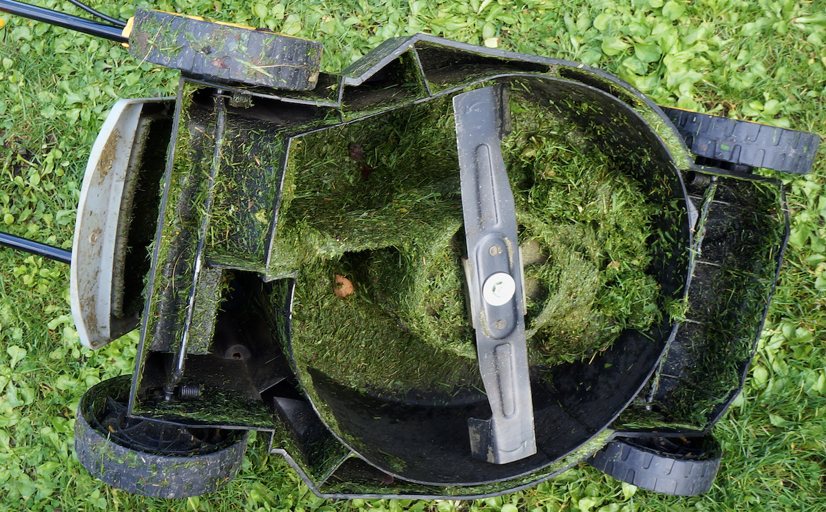 Mowing Wet Grass: Is it a Bad Idea?