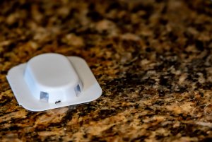 A black ant is walking on a white ant bait trap on a granite countertop.