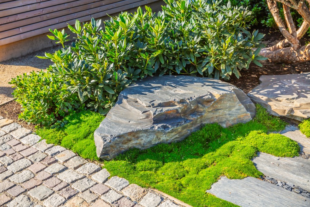 A garden path is lined by native plants, mulch, and large stones.