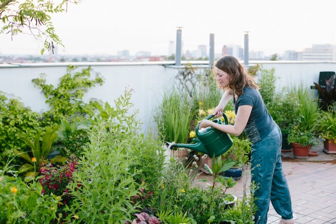 How to Build a Rain Garden—and Why You Should