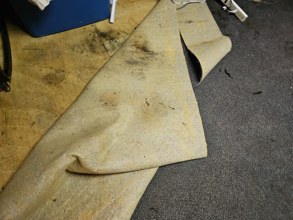 A person lifts a corner of older and moldy carpet.