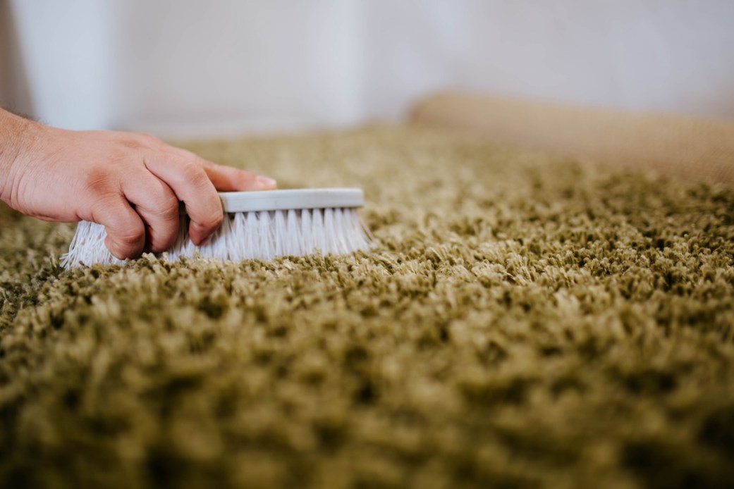 How to Get Mold Out of Carpet in the Home