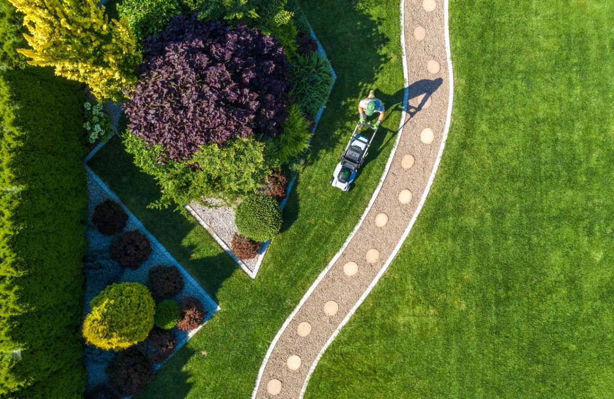 An aerial view of a lush lawn.