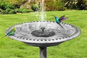 Budget-Friendly Finds for Your Backyard and Patio Bird Bath and Solar-Powered FountainÂ