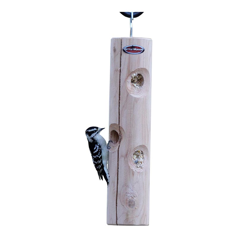 The Best Suet Bird Feeders for Your Backyard in 2024, Tested