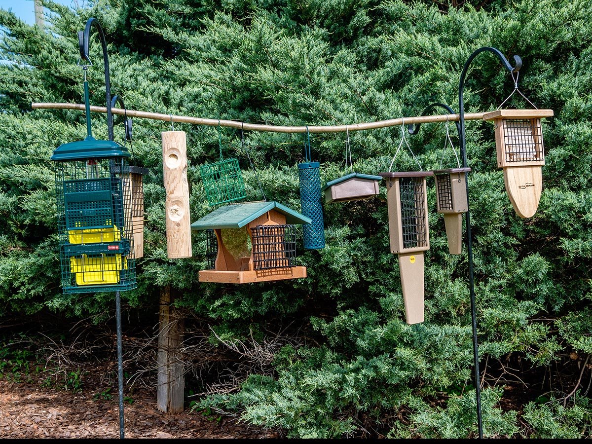 The Best Suet Bird Feeders of 2026, Tested by Experts