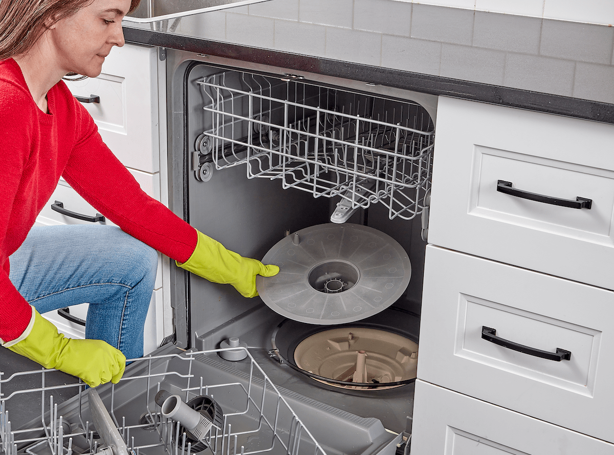 Woman removes filter and cleans drain in dishwasher.