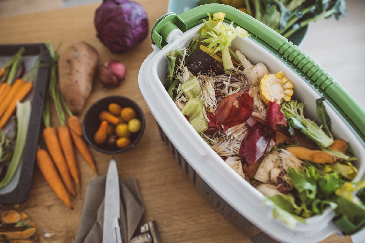 Carrots, a sweet potato, and a purple cabbage are resting next to a countertop compost bin filled with vegetable scraps on a wooden countertop.