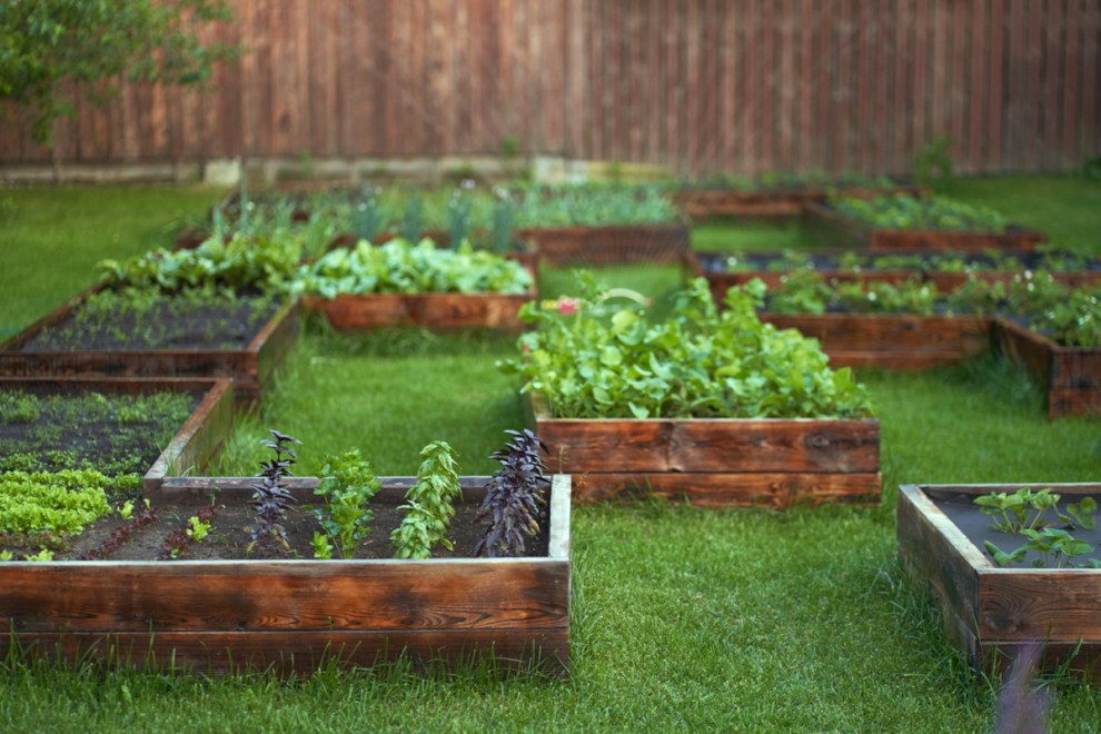 This Is the Best Way to Fill a Raised Garden Bed—Plus 4 Alternative Methods