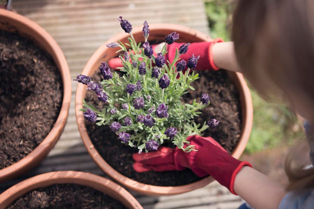 How to Keep Bees Away from the Pool: 8 Methods to Try