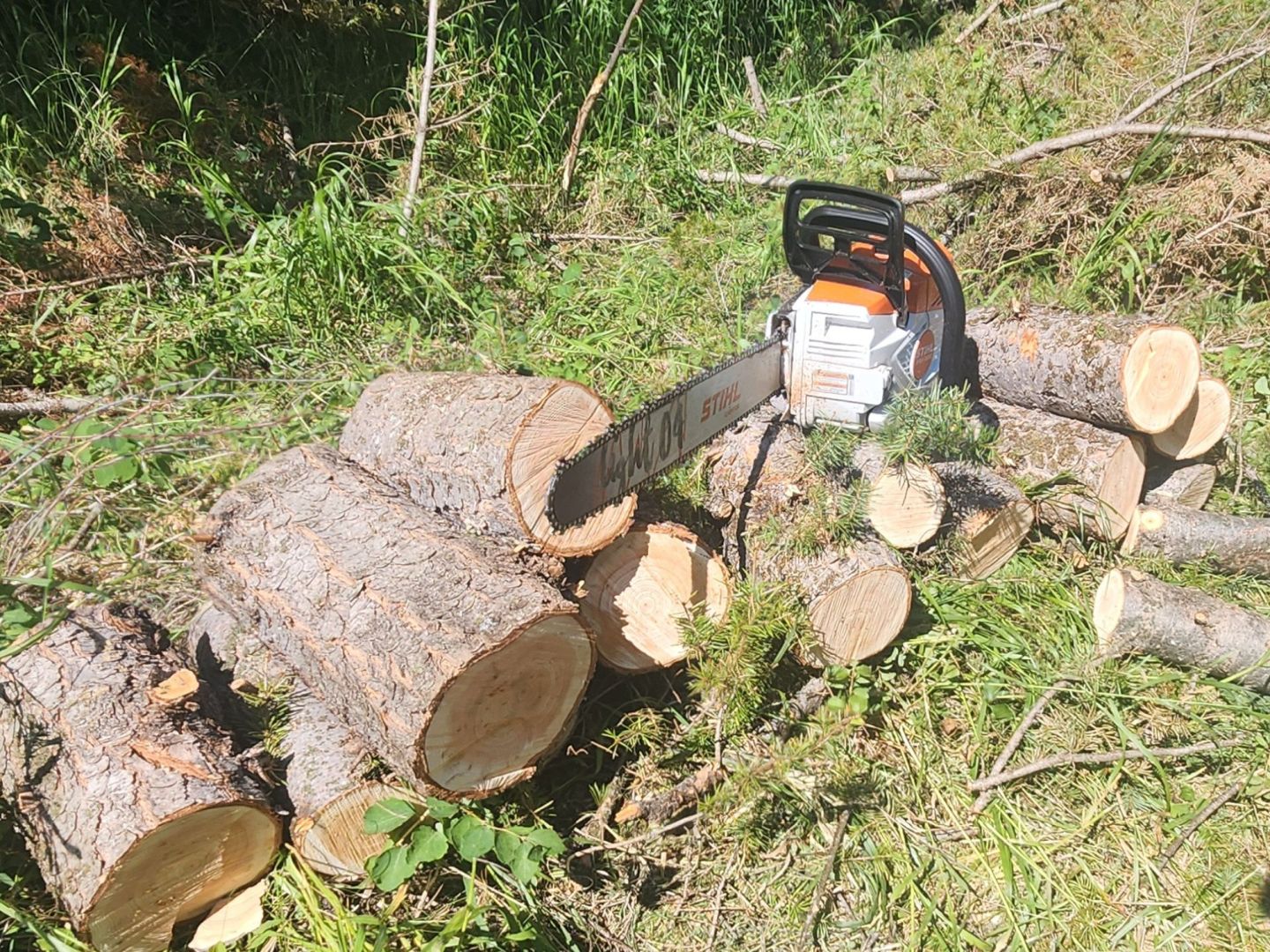 This Stihl Battery Chainsaw Outperforms The Gas Models I Tested