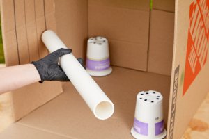 Woman puts a short length of PVC pipe on overturned plastic cups inside a cardboard box.