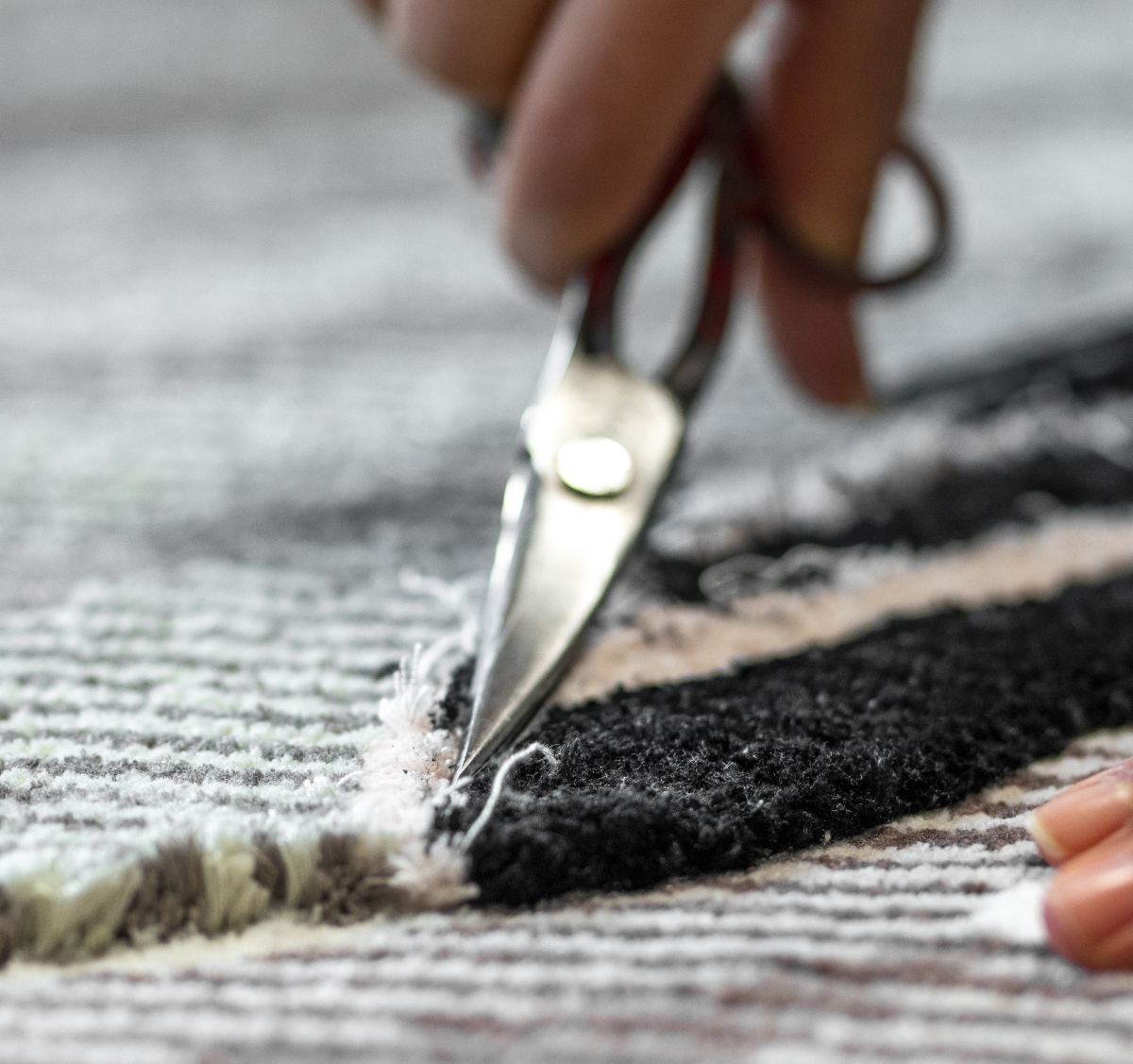 Using scissors to trim carpet fibers.