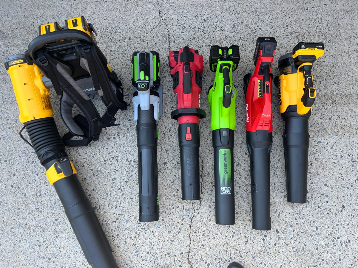 Best Cordless Leaf Blowers