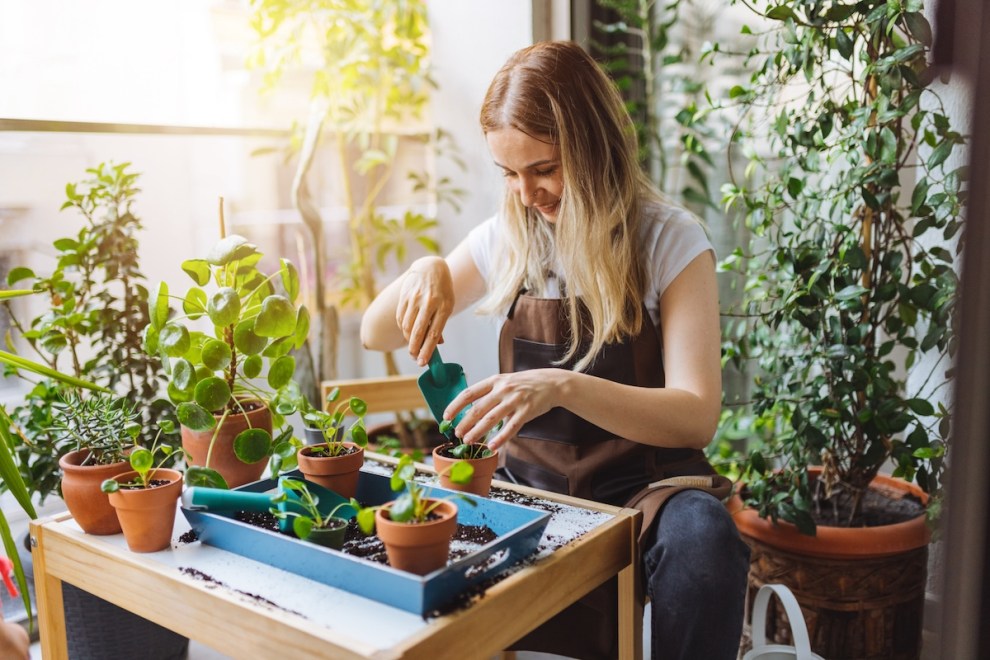 7 Mistakes You’re Making With Potting Soil