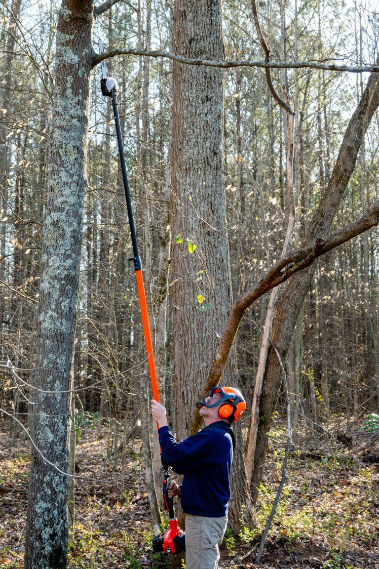 Echo eForce DPPF-2100 56V Power Pruner