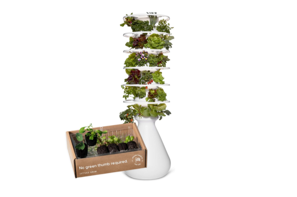 Lettuce Grow Farmstand with lights black friday deal