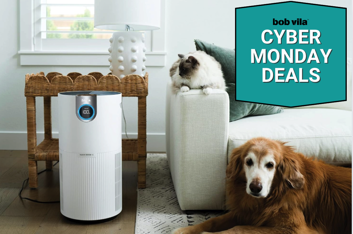 Cyber Monday Air Purifier deals