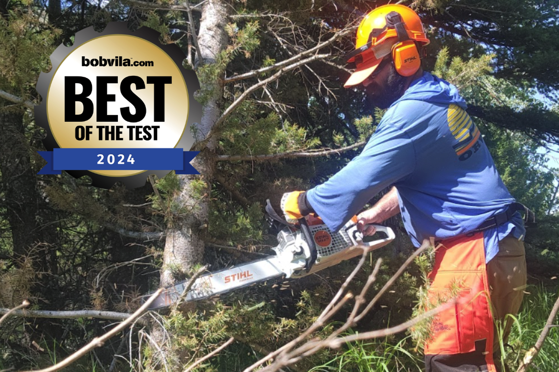 Best of the Test 2024, Best Outdoor Power Tools