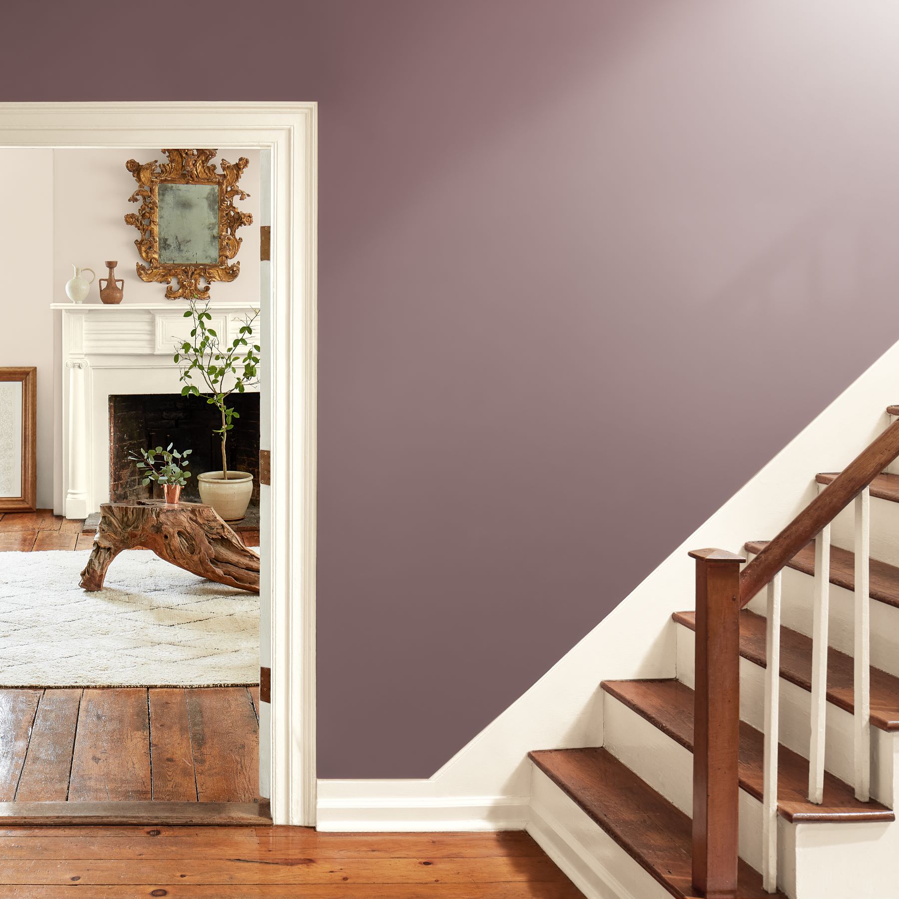 Benjamin Moore's Cinnamon Slate on foyer wall, surrounded by white trim and mahogany stained wood.