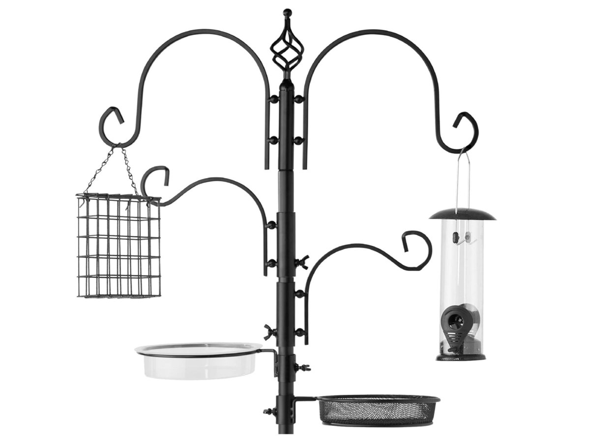 close-up from a hook bird feeding station 