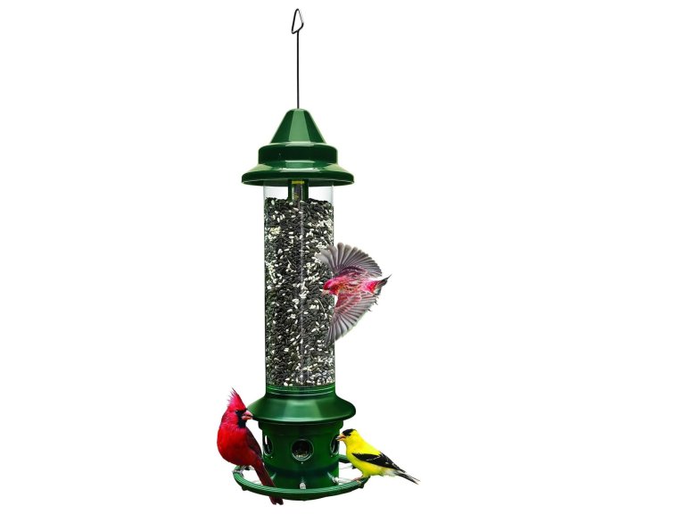 Brome Squirrel-Proof Bird Feeder with birds, on a white background.