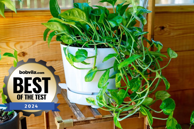 Best lawn and garden products of 2024