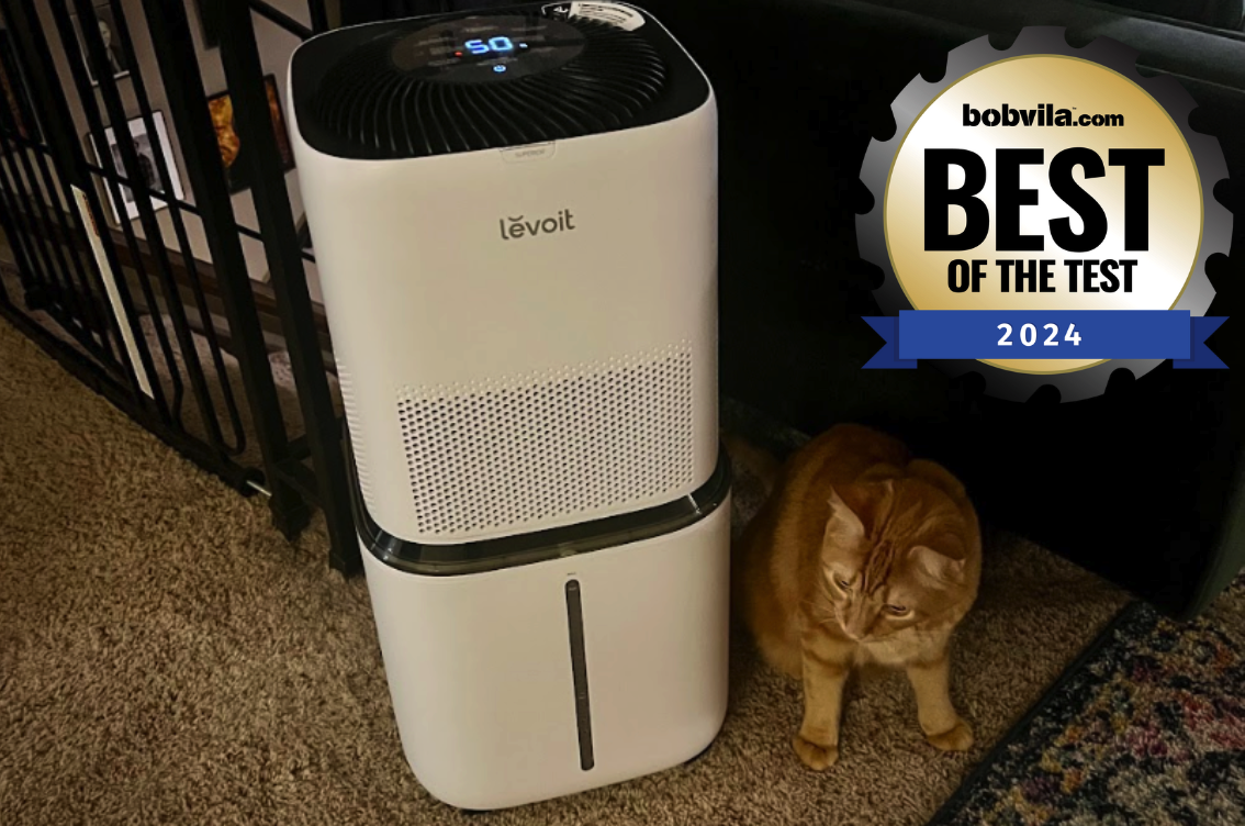 Best Home Essentials of 2024